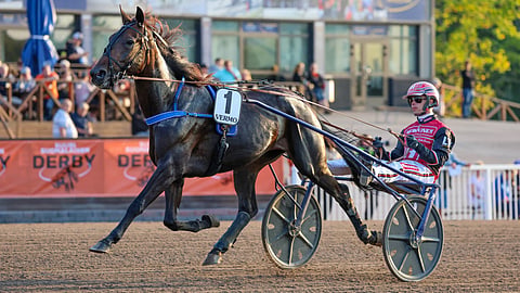 Sofia Evo, Santtu Raitala