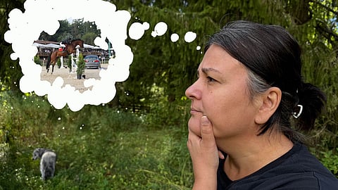 Seuraavaa askelta on pohdittu mustikkametsässä. 