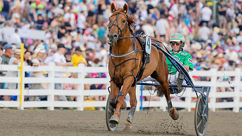 V.G. Voitto, Ari Moilanen