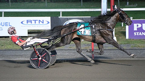 Ravit USA