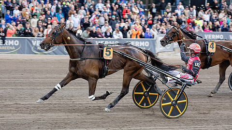 Romanov Comery, Santtu Raitala