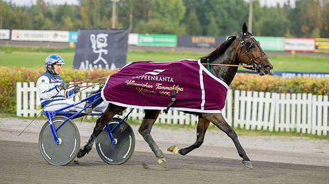 Pekka Korven valmentama Mint Match voitti viime syksynä Villinimiehen Tammakilvan karsinnan ja finaalin. Lauantaina tamman rattailla nähdään Janne Korpi.