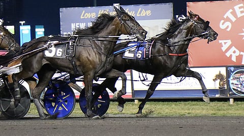 Ravit Emoticon Legacy