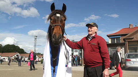 Ravit Norja