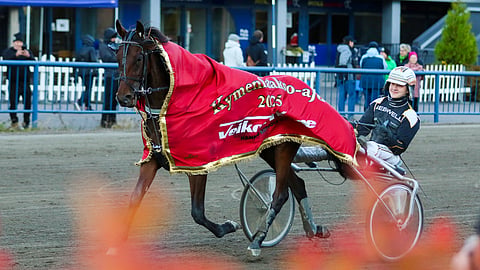 Ravit Solvalla