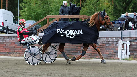 Suvipotti, Tapio Perttunen