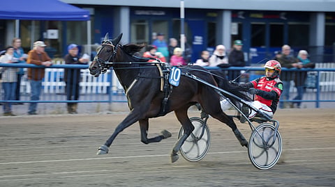 Like My Diamond on vahvoilla tiistaina Mikkelin Toto5-pelin päätöskohteessa.