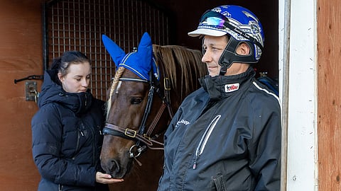 Petri Laine on raviharrastaja Orivedeltä, jonka tunnetuin valmennettava on ikäluokkatähti ja ravikuningas Parvelan Retu. Kasvattanut Siirin-hevosia. Tytär Ida Laine on sisaruksista vanhin, ja hän työskentelee Parvelan Hevostilalla.  Hän on myös Parvelan hevosten oriinpitäjä. Heppa-järjestelmään Idan hoitohevosiksi on merkitty Siirin Valtsu ja Pörnä-Pate.