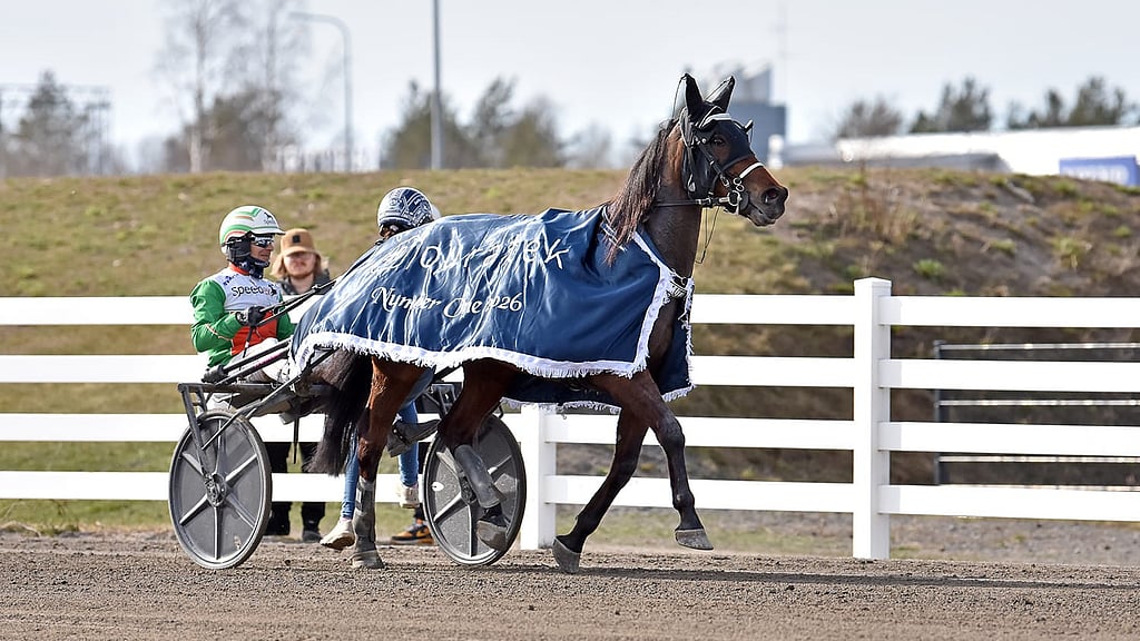 Yhteistyötä yli rajojen – tiimi Number Onen voittajan takana onnistui ...