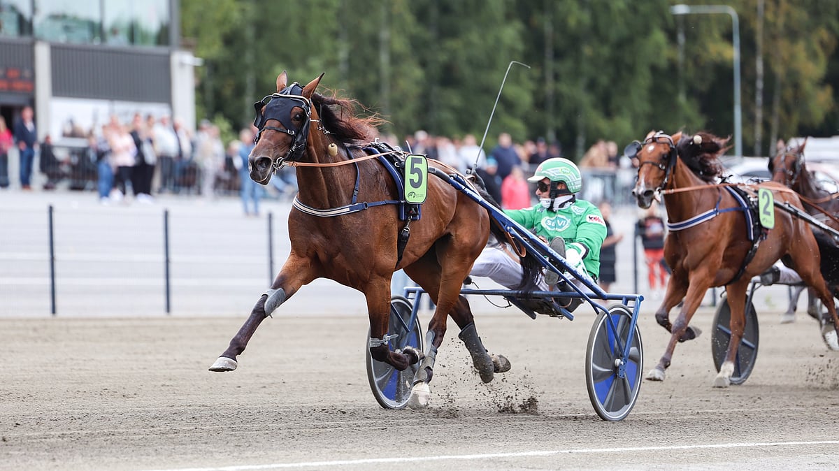 BWT Jackpot, Charma ja Drogon Tammavaltikan viimeiset kutsutut
