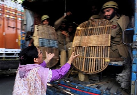 A woman pleading with security personnel during the November 2010 protests in Kashmir.
Flickr / Kashmir Global