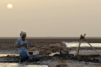 Photo : FSA