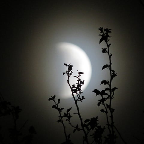 Photo : Pixabay / Christy Miller