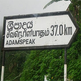 Photo : Wikimedia Commons 