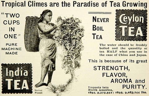 A 1896 print advertisement for Ceylon Tea and India Tea. 
Photo credit: periodpaper.com