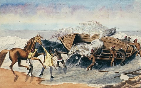 Landing [waler] horses from Australia; Catamarans and Masoolah boat, Madras, c.1834. Photo: State Library of New South Wales