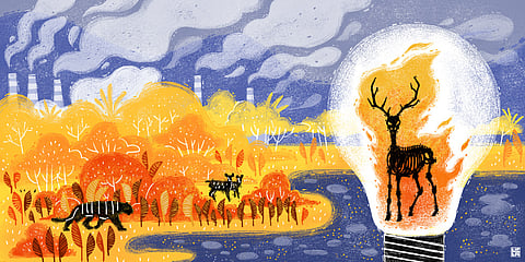 Illustration: Reesham Shahab Tirtho

