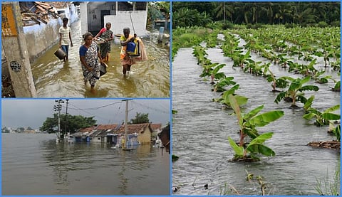 காவிரி வெள்ளப் பெருக்கும் பாதிப்பும் - புகைப்படத் தொகுப்பு