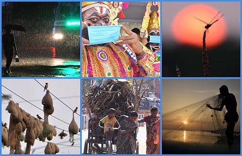 பேசும் படங்கள் | உலக புகைப்பட தின சிறப்புத் தொகுப்பு
