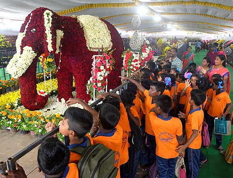 புதுச்சேரி மக்களை கவரும் மலர், காய், கனிக் கண்காட்சி - போட்டோ ஸ்டோரி