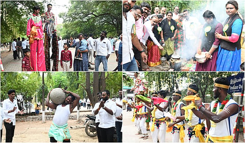 Pongal Celebration at Madurai District Court Complex