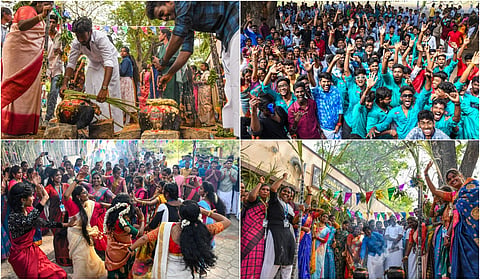 Pongal Celebration At Salem Govt Arts College