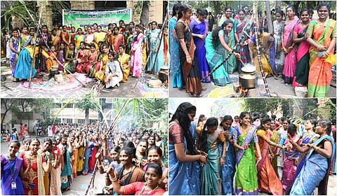 Pongal Celebration At Madurai Sri Meenakshi Womens College
