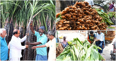 2024 January Tamil Nadu Photo story