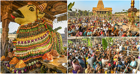 Thanjavur big temple Festival album