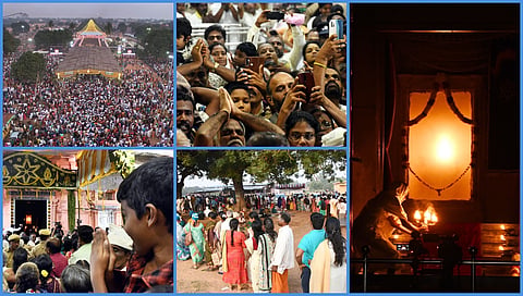 thaipusam festival