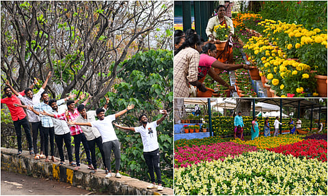 yercaud flower festival begin soon