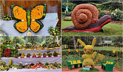 Coonoor 64th Fruits Show: Sims Park