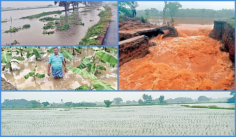 heavy rain in delta