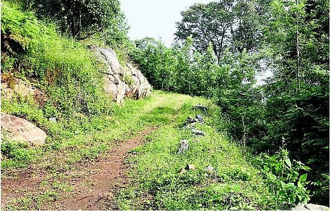 ஏற்காடு தொகுதிக்கு தேவை சாலைகள்... வாக்குறுதிகள் அல்ல!﻿