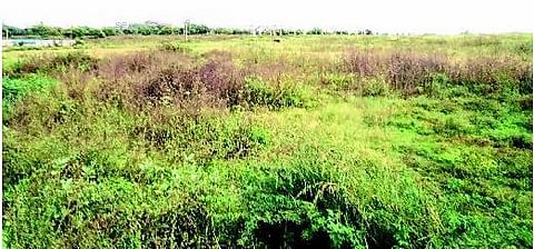 மோனோ ரயில் திட்டம்: வண்டலூரில் 26 ஏக்கர் இடம் தேர்வு