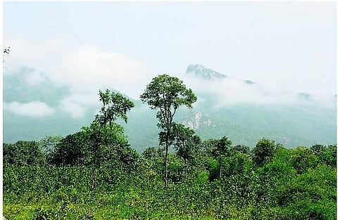 எல்லோருடைய நன்மைக்குமான வளர்ச்சி