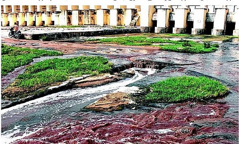 உலகின் மாசுபட்ட நதிகள் பட்டியலில் முந்தியது பாலாறு! - வேதனை சூழலில் வேலூர் மக்கள்