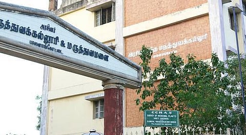 மாற்று மருத்துவங்களில் மகத்தான எதிர்காலம்