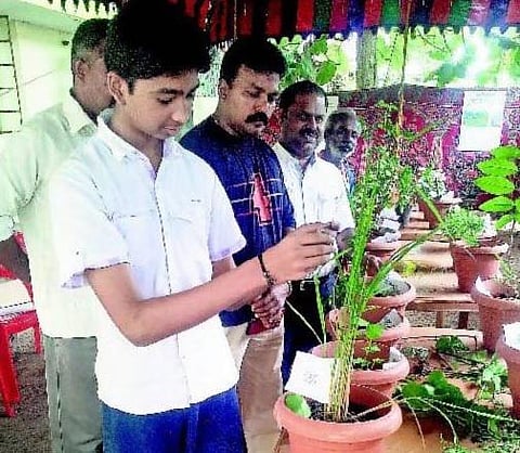பாஸ்ட் புட் மோகத்தால் நோய்கள் அதிகரிப்பு: நாகர்கோவில் மூலிகை கருத்தரங்கில் எச்சரிக்கை