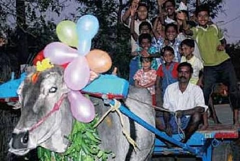 மாட்டு வண்டிய பூட்டிக்கிட்டு...பொங்கல் நாளில் சவாரி செல்வதே தனி சந்தோஷம்தான்...