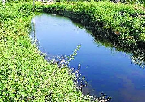 திருப்பூர்: மின்கம்பத்தில் விளக்கு இல்லை.. மயானத்துக்கு பாதை இல்லை..: கவலையில் இரு கிராம மக்கள்