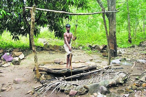 நாகர்கோவில்: வாழ்விடத்தை காக்கப் போராடும் `காணி’கள்; சாலை, மருத்துவம், மின் வசதிகள் கானல் நீர்