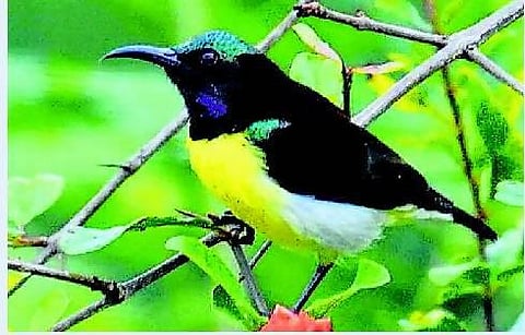 கவிதை- இந்த தினத்தின் பெயர்