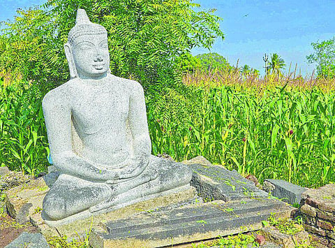 சுவீகரிக்கப்பட்ட புத்தர்