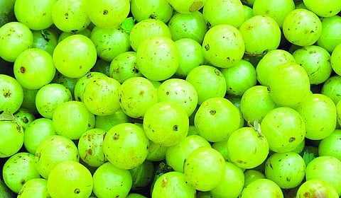 வாழ்வியலும் உணவும் தொலைந்ததால் அல்லல்படும் பெண்கள்