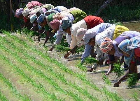 உங்க தொகுதி எப்படி இருக்கு? - சீர்காழி (தனி)