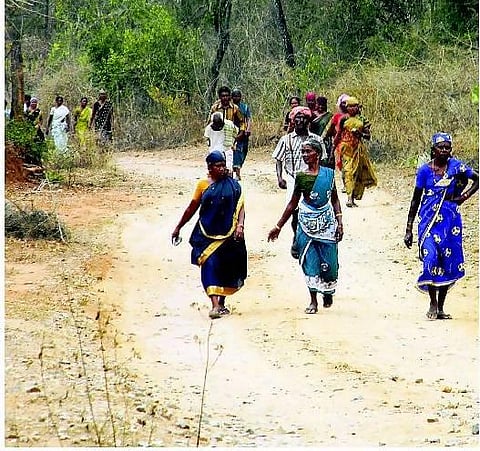ஈரோடு மாவட்ட மலை கிராமங்களில் நூற்றுக்கணக்கானோர் வாக்களிக்கவில்லை﻿: வாக்காளர் பட்டியலில் பெயர் இல்லாததால் ஏமாற்றம்﻿