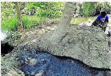 சாக்கடையில் உயிர் பிழைக்கும் `தங்கங்கள்﻿