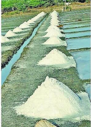 தேக்கமடையும் உப்பு; தவிப்பில் உற்பத்தியாளர்கள்﻿: வேதாரண்யம் பகுதியில் உற்பத்தி அதிகரித்தும் பயனில்லை﻿