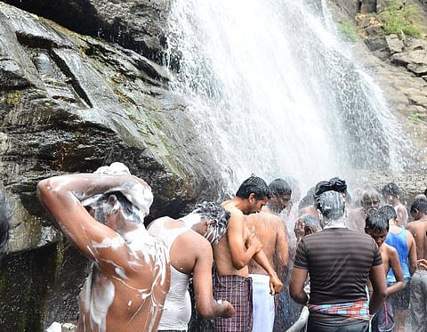 குற்றாலத்தில் மது, ஆயில், ஷாம்பு, சீயக்காய், சோப்புக்கு நீதிமன்றம் தடை- டாஸ்மாக் கடைகளை 2 நாளில் அகற்றவும் உத்தரவு